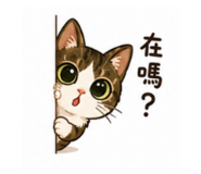 852434055