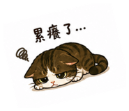852434067