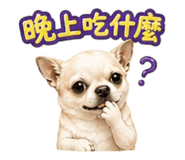 852435065