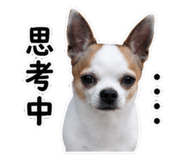 852435696