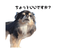 852437121