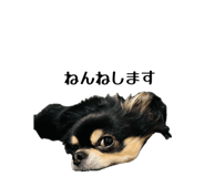 852437123