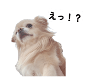 852437125