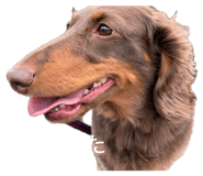 852437217