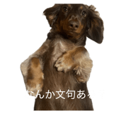 852437220