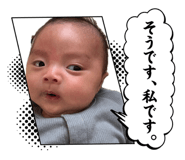 852437648