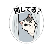 852437694