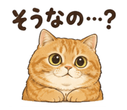 852439074