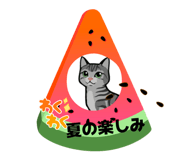852439462