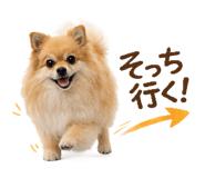 852439921
