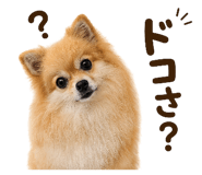 852439922