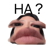 852440252
