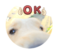 852440667