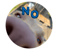 852440668