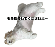 852440834
