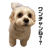 852440836