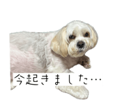 852440837
