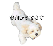 852440839