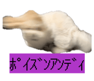 852440840