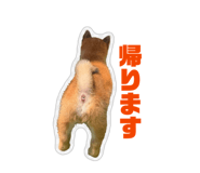 852441345
