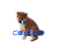 852441346