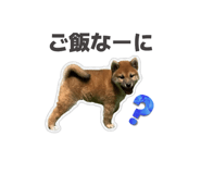 852441347