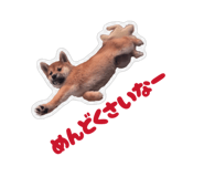 852441354