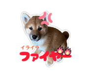 852441359