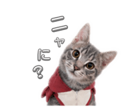 852441379