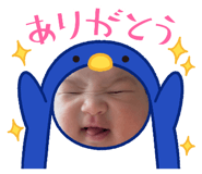 852441510
