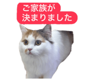 852442075