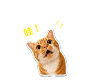852442307