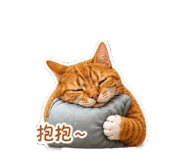 852442313