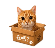 852442318
