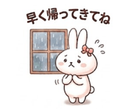 852443018