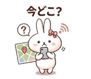 852443021