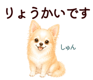 852444546
