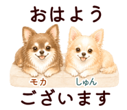 852444547