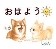 852444548
