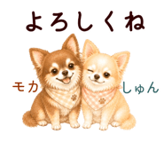852444551