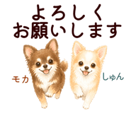 852444552