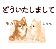 852444554