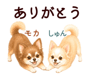852444555