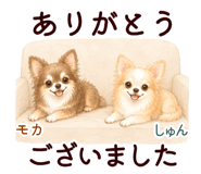 852444556