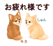 852444558