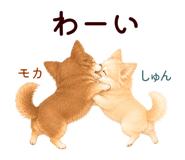 852444559