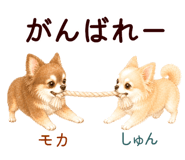 852444562