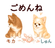 852444563