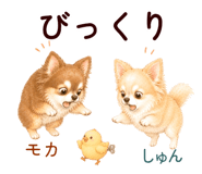 852444565