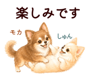 852444575